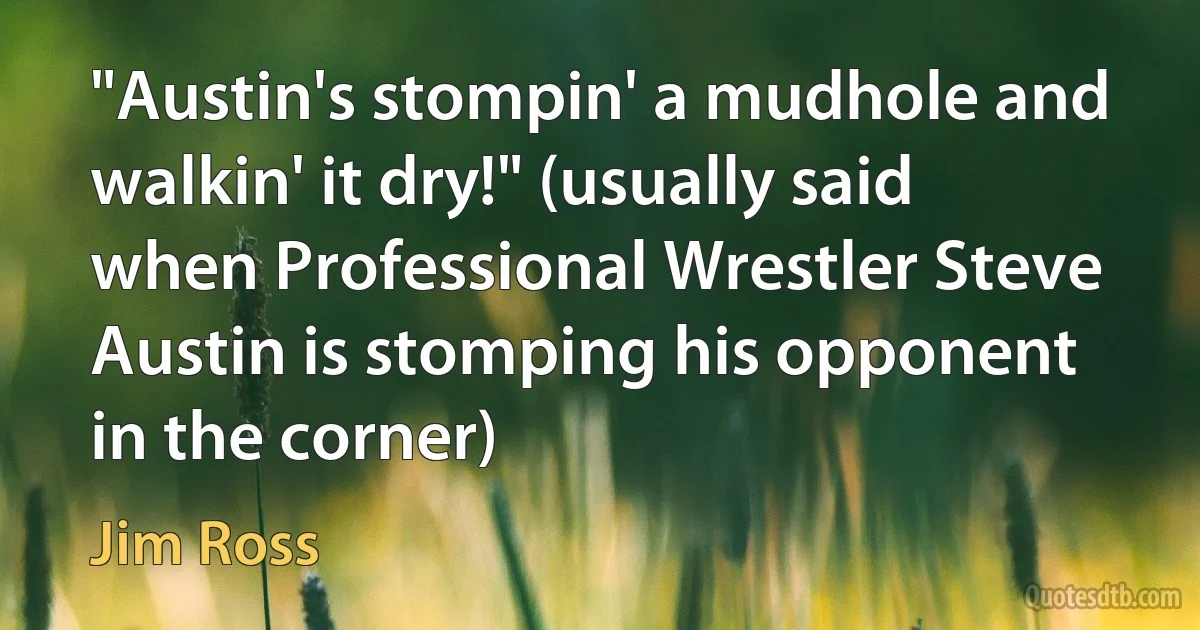 "Austin's stompin' a mudhole and walkin' it dry!" (usually said when Professional Wrestler Steve Austin is stomping his opponent in the corner) (Jim Ross)