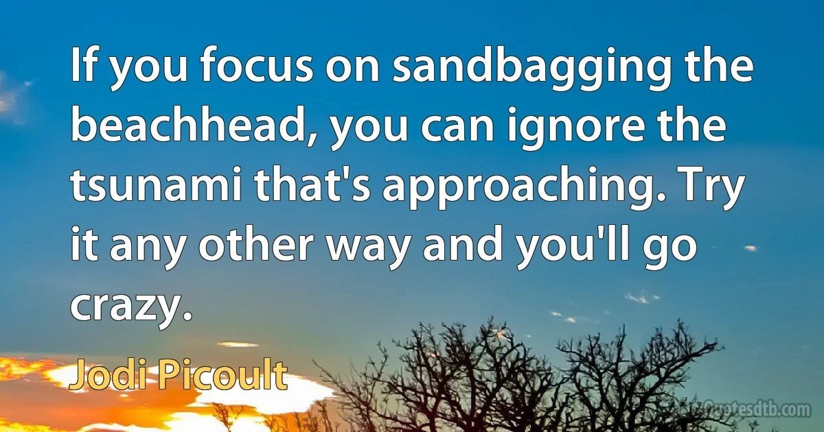 If you focus on sandbagging the beachhead, you can ignore the tsunami that's approaching. Try it any other way and you'll go crazy. (Jodi Picoult)