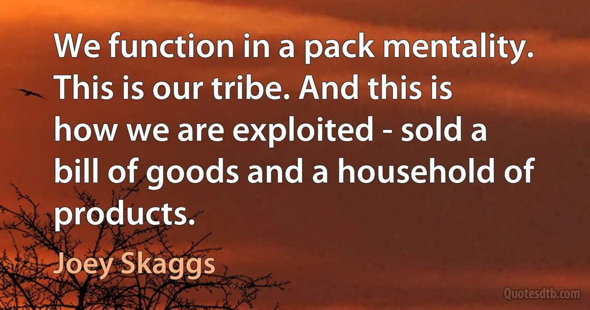 We function in a pack mentality. This is our tribe. And this is how we are exploited - sold a bill of goods and a household of products. (Joey Skaggs)