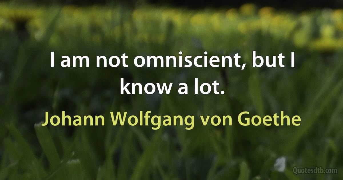 I am not omniscient, but I know a lot. (Johann Wolfgang von Goethe)