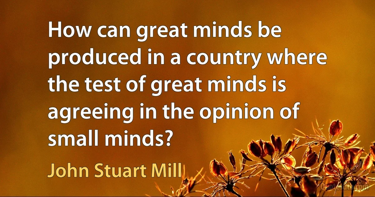 How can great minds be produced in a country where the test of great minds is agreeing in the opinion of small minds? (John Stuart Mill)