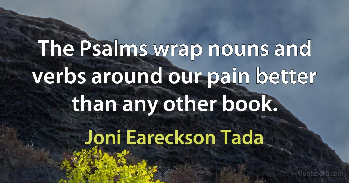 The Psalms wrap nouns and verbs around our pain better than any other book. (Joni Eareckson Tada)