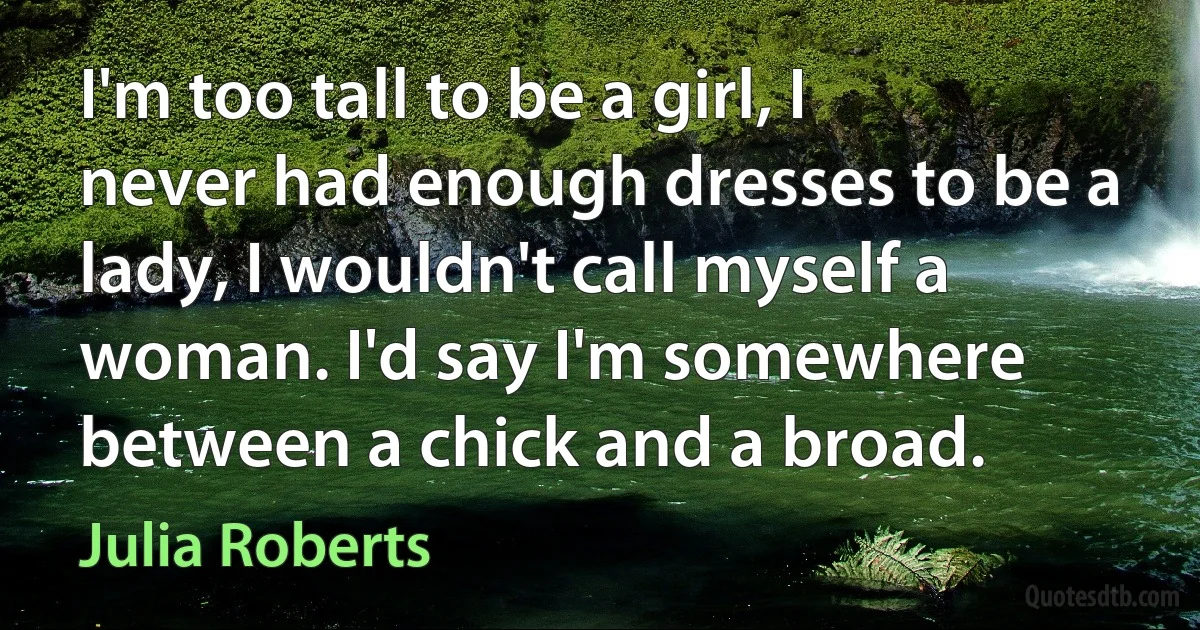 I'm too tall to be a girl, I never had enough dresses to be a lady, I wouldn't call myself a woman. I'd say I'm somewhere between a chick and a broad. (Julia Roberts)