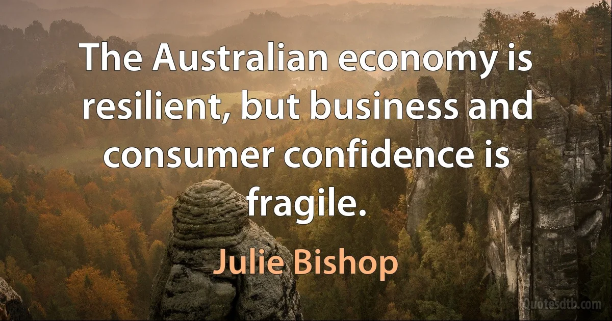 The Australian economy is resilient, but business and consumer confidence is fragile. (Julie Bishop)