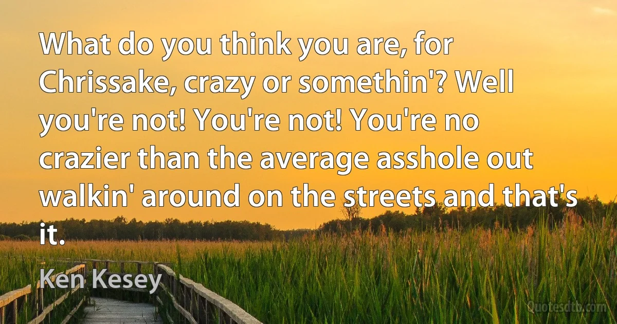 What do you think you are, for Chrissake, crazy or somethin'? Well you're not! You're not! You're no crazier than the average asshole out walkin' around on the streets and that's it. (Ken Kesey)