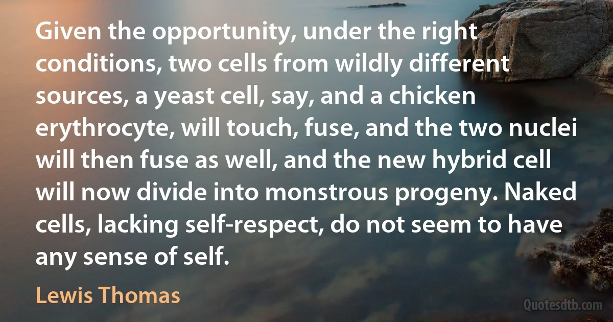 Given the opportunity, under the right conditions, two cells from wildly different sources, a yeast cell, say, and a chicken erythrocyte, will touch, fuse, and the two nuclei will then fuse as well, and the new hybrid cell will now divide into monstrous progeny. Naked cells, lacking self-respect, do not seem to have any sense of self. (Lewis Thomas)