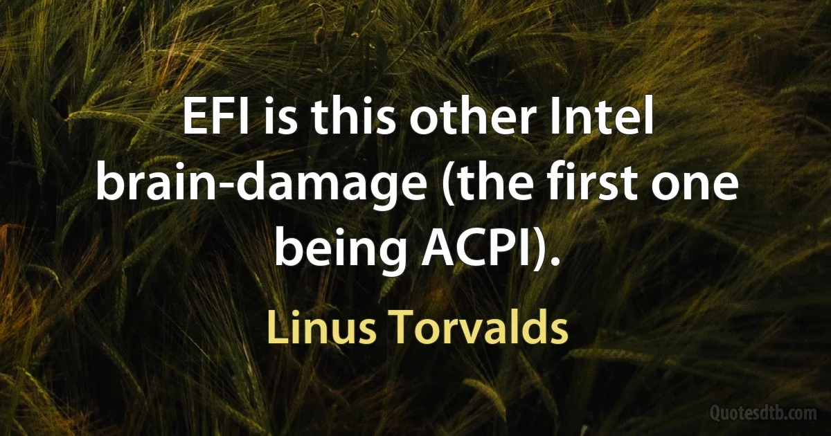 EFI is this other Intel brain-damage (the first one being ACPI). (Linus Torvalds)