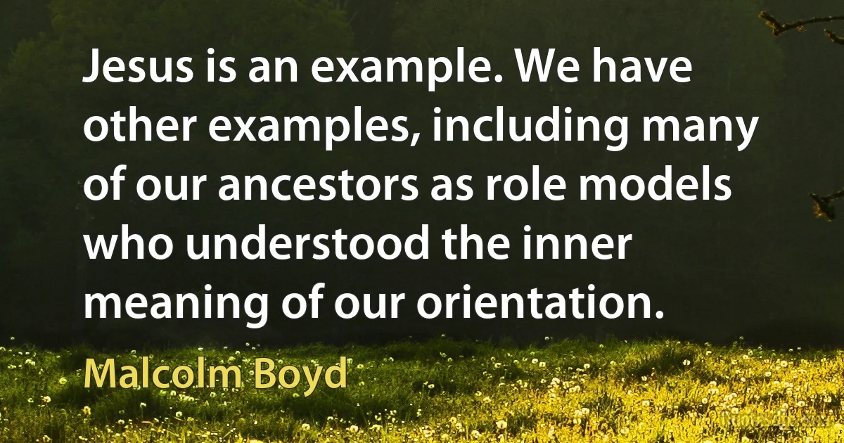 Jesus is an example. We have other examples, including many of our ancestors as role models who understood the inner meaning of our orientation. (Malcolm Boyd)