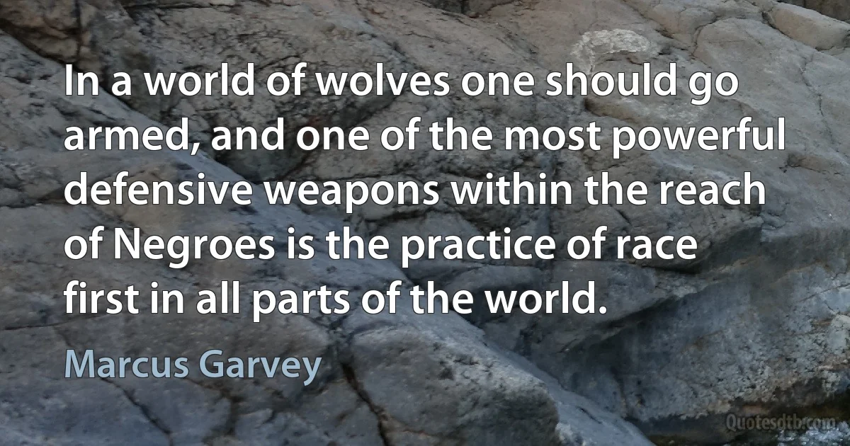 In a world of wolves one should go armed, and one of the most powerful defensive weapons within the reach of Negroes is the practice of race first in all parts of the world. (Marcus Garvey)