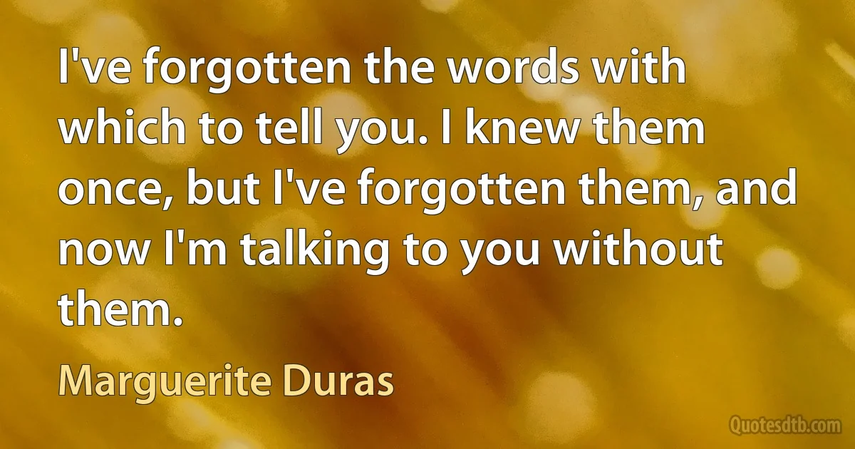 I've forgotten the words with which to tell you. I knew them once, but I've forgotten them, and now I'm talking to you without them. (Marguerite Duras)