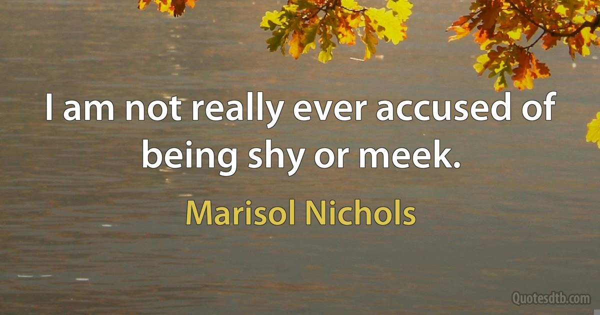 I am not really ever accused of being shy or meek. (Marisol Nichols)