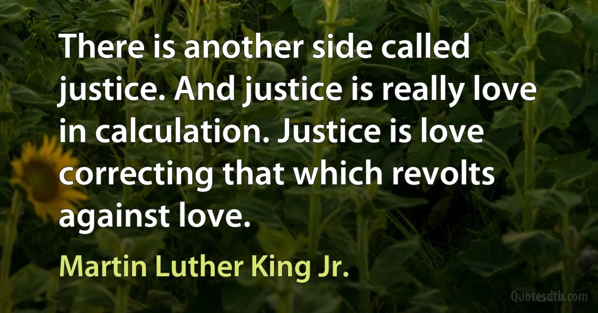 There is another side called justice. And justice is really love in calculation. Justice is love correcting that which revolts against love. (Martin Luther King Jr.)