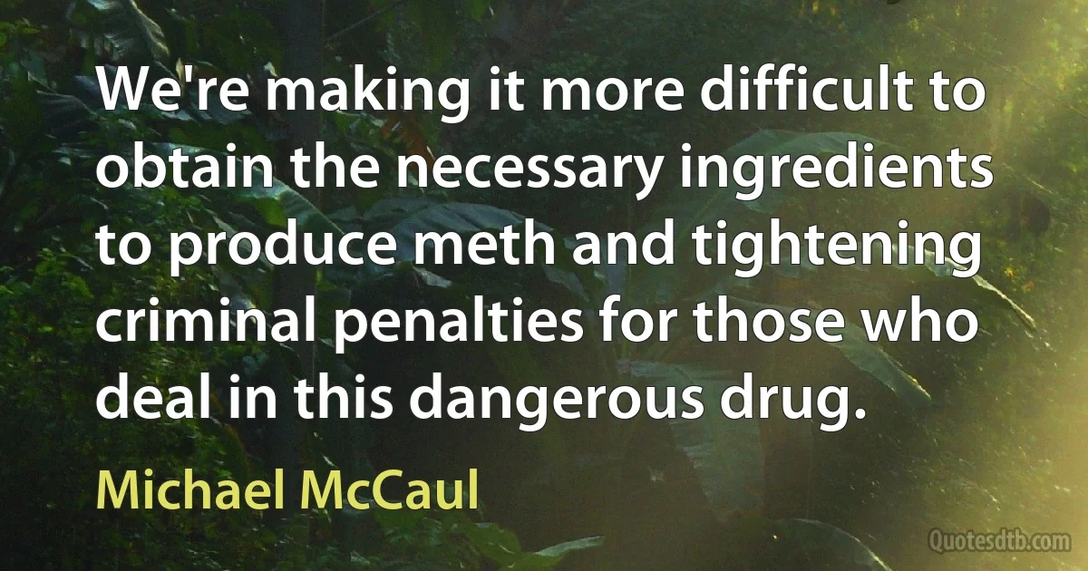 We're making it more difficult to obtain the necessary ingredients to produce meth and tightening criminal penalties for those who deal in this dangerous drug. (Michael McCaul)