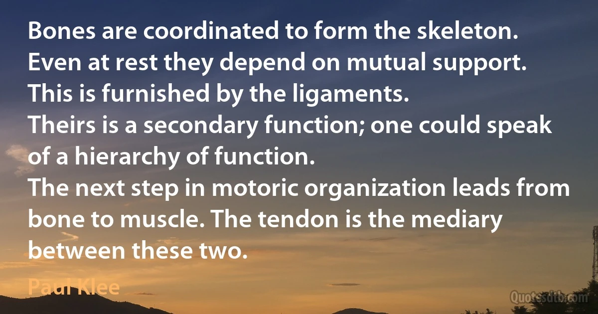 Bones are coordinated to form the skeleton.
Even at rest they depend on mutual support.
This is furnished by the ligaments.
Theirs is a secondary function; one could speak of a hierarchy of function.
The next step in motoric organization leads from bone to muscle. The tendon is the mediary between these two. (Paul Klee)