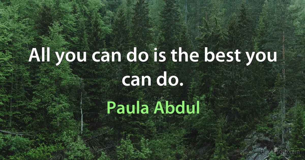 All you can do is the best you can do. (Paula Abdul)