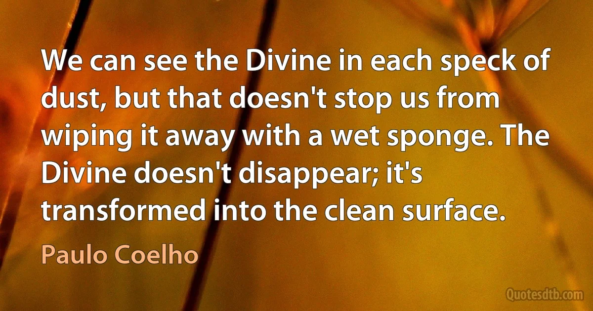 We can see the Divine in each speck of dust, but that doesn't stop us from wiping it away with a wet sponge. The Divine doesn't disappear; it's transformed into the clean surface. (Paulo Coelho)