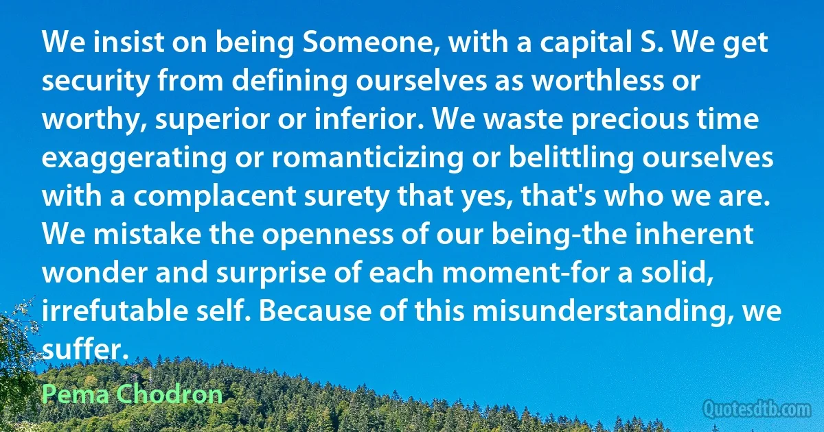 We insist on being Someone, with a capital S. We get security from defining ourselves as worthless or worthy, superior or inferior. We waste precious time exaggerating or romanticizing or belittling ourselves with a complacent surety that yes, that's who we are. We mistake the openness of our being-the inherent wonder and surprise of each moment-for a solid, irrefutable self. Because of this misunderstanding, we suffer. (Pema Chodron)