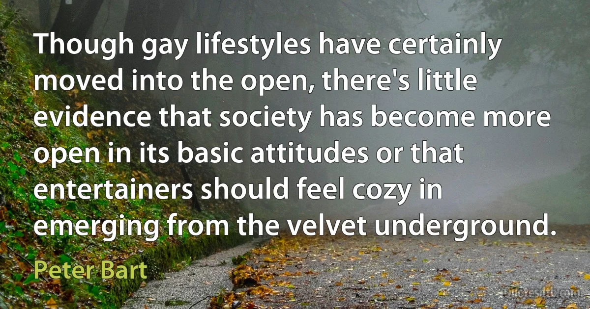 Though gay lifestyles have certainly moved into the open, there's little evidence that society has become more open in its basic attitudes or that entertainers should feel cozy in emerging from the velvet underground. (Peter Bart)