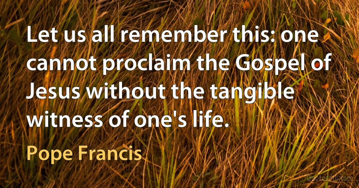 Let us all remember this: one cannot proclaim the Gospel of Jesus without the tangible witness of one's life. (Pope Francis)