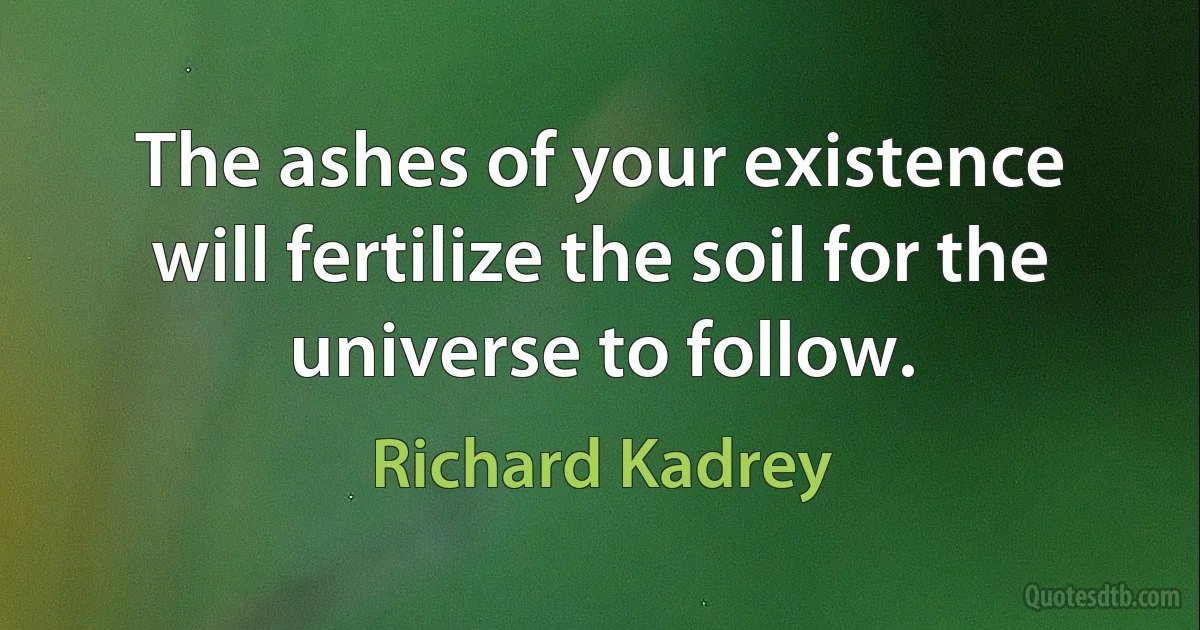 The ashes of your existence will fertilize the soil for the universe to follow. (Richard Kadrey)