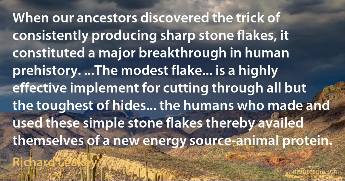 When our ancestors discovered the trick of consistently producing sharp stone flakes, it constituted a major breakthrough in human prehistory. ...The modest flake... is a highly effective implement for cutting through all but the toughest of hides... the humans who made and used these simple stone flakes thereby availed themselves of a new energy source-animal protein. (Richard Leakey)