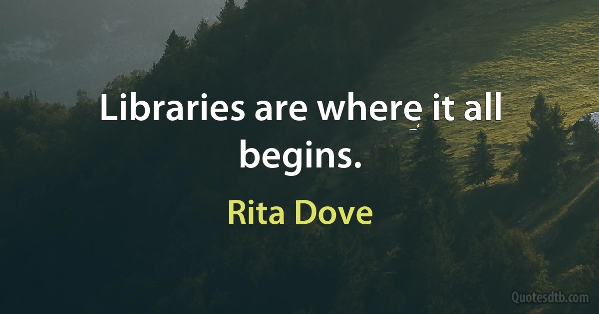 Libraries are where it all begins. (Rita Dove)