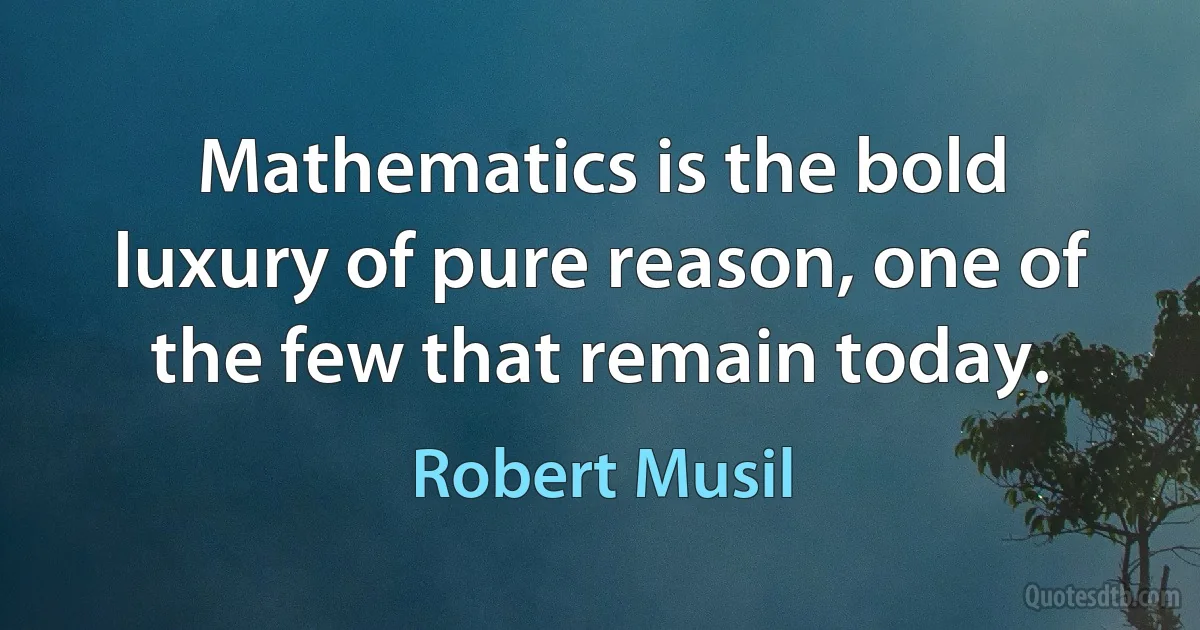 Mathematics is the bold luxury of pure reason, one of the few that remain today. (Robert Musil)