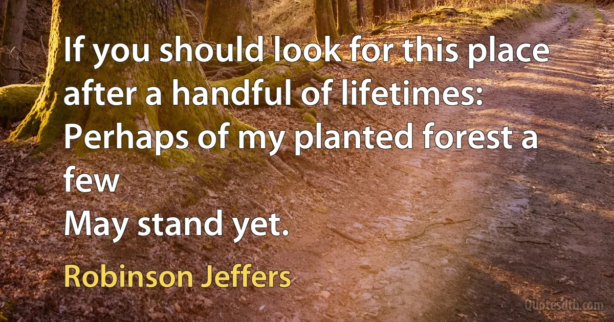 If you should look for this place after a handful of lifetimes:
Perhaps of my planted forest a few
May stand yet. (Robinson Jeffers)