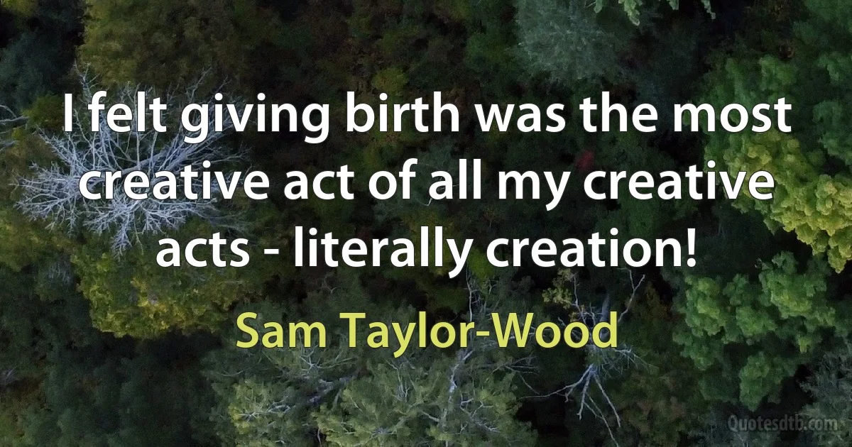 I felt giving birth was the most creative act of all my creative acts - literally creation! (Sam Taylor-Wood)