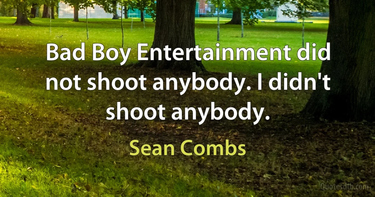 Bad Boy Entertainment did not shoot anybody. I didn't shoot anybody. (Sean Combs)