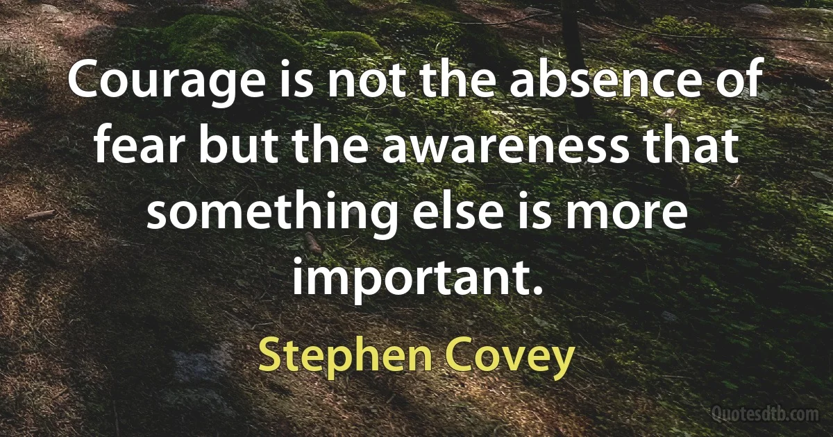 Courage is not the absence of fear but the awareness that something else is more important. (Stephen Covey)