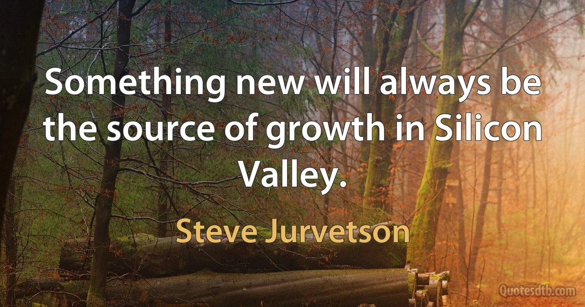 Something new will always be the source of growth in Silicon Valley. (Steve Jurvetson)