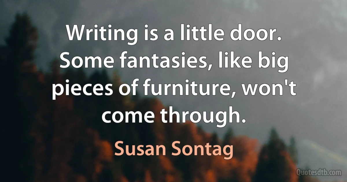 Writing is a little door. Some fantasies, like big pieces of furniture, won't come through. (Susan Sontag)