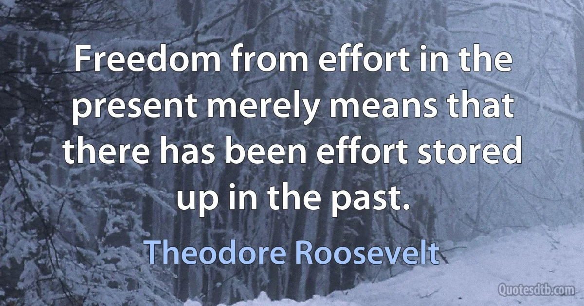 Freedom from effort in the present merely means that there has been effort stored up in the past. (Theodore Roosevelt)