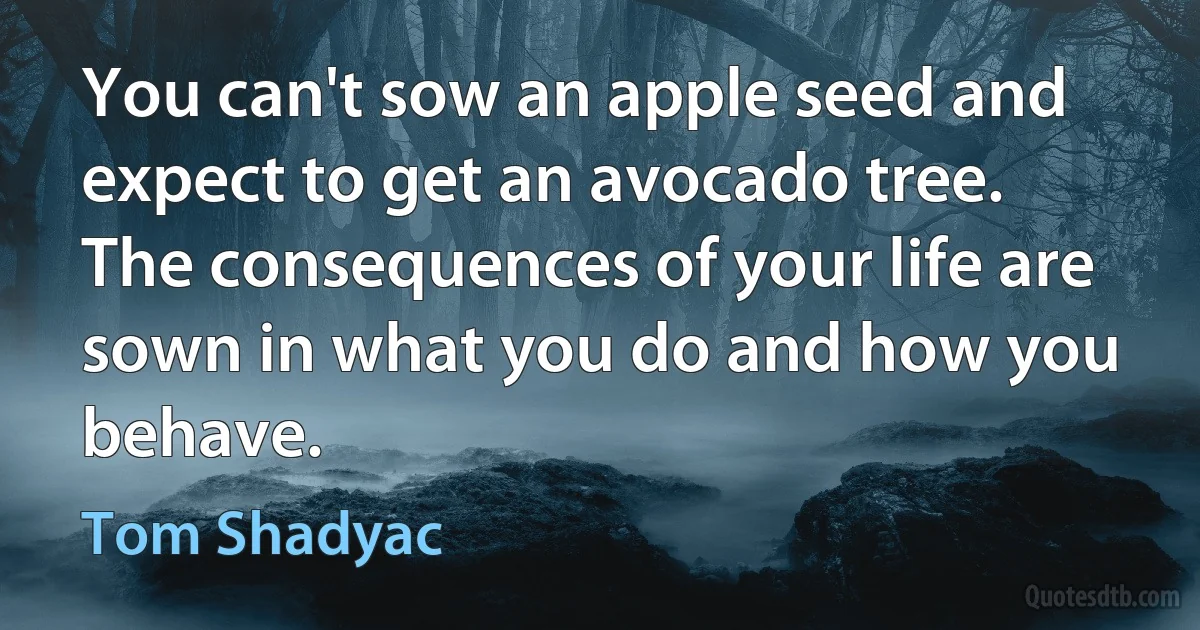 You can't sow an apple seed and expect to get an avocado tree. The consequences of your life are sown in what you do and how you behave. (Tom Shadyac)