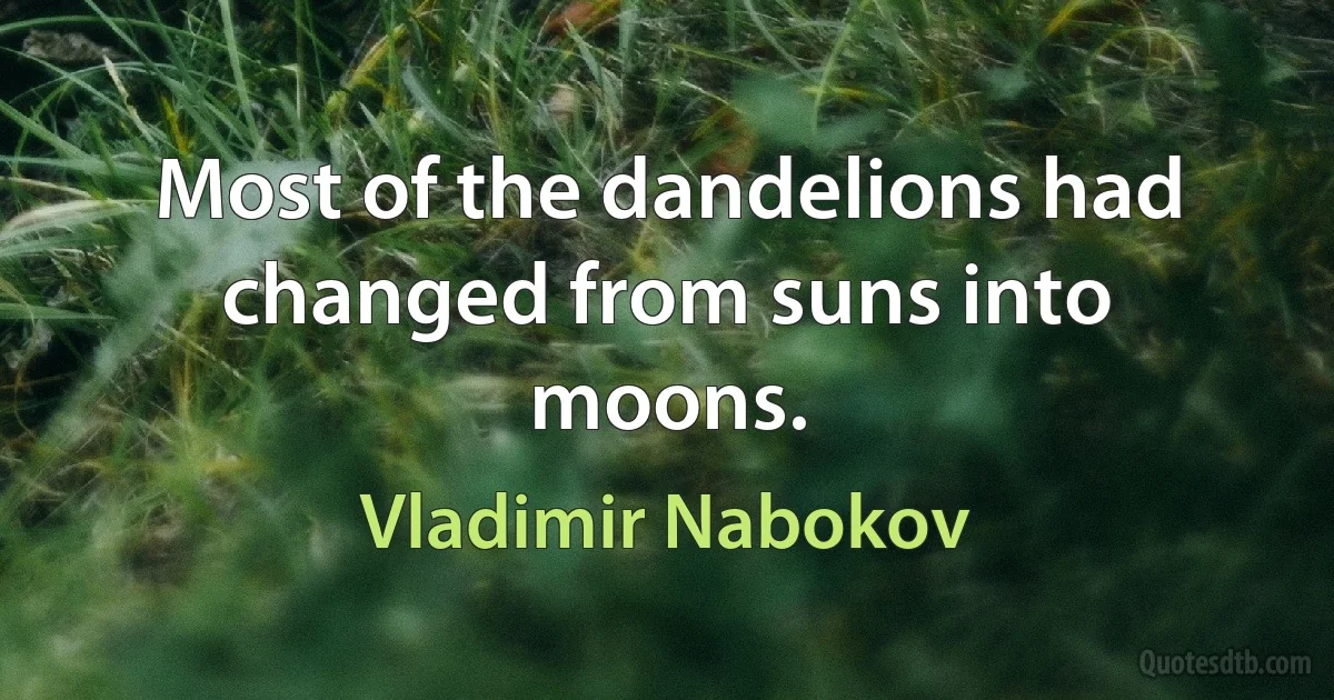 Most of the dandelions had changed from suns into moons. (Vladimir Nabokov)