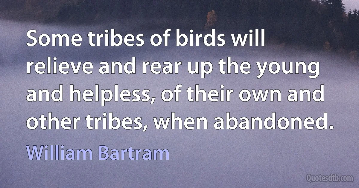 Some tribes of birds will relieve and rear up the young and helpless, of their own and other tribes, when abandoned. (William Bartram)