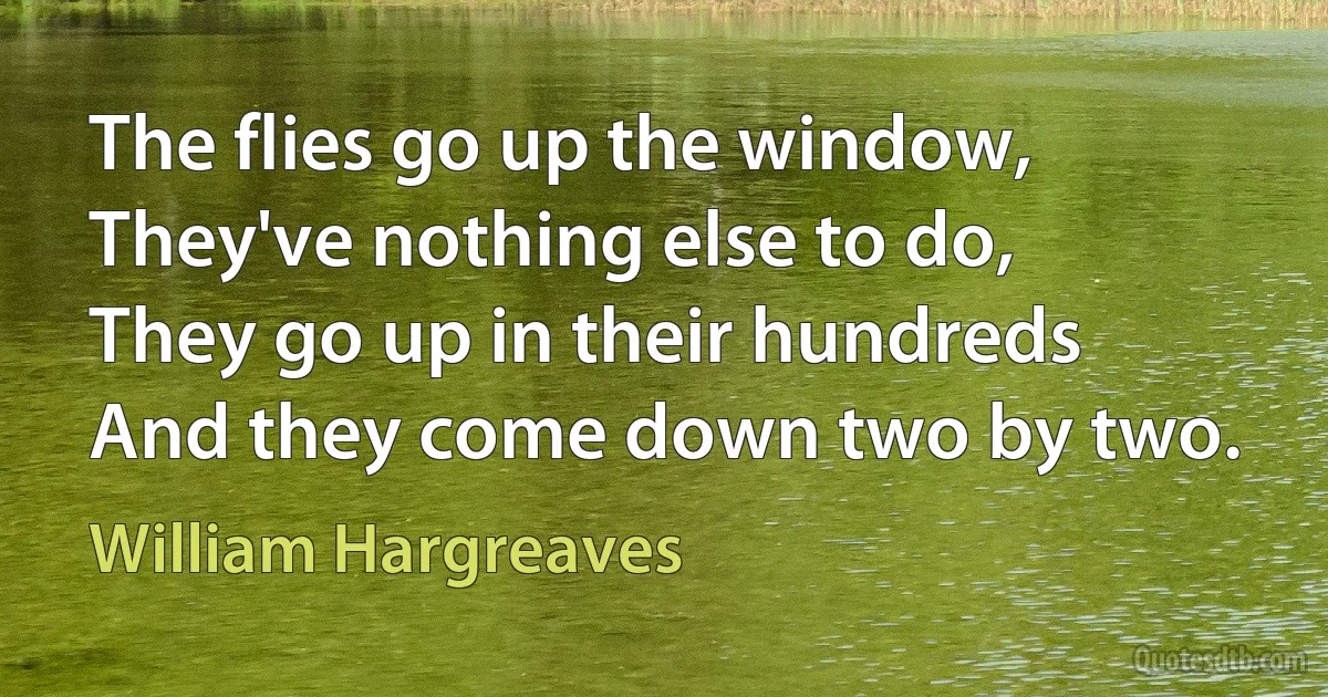 The flies go up the window,
They've nothing else to do,
They go up in their hundreds
And they come down two by two. (William Hargreaves)