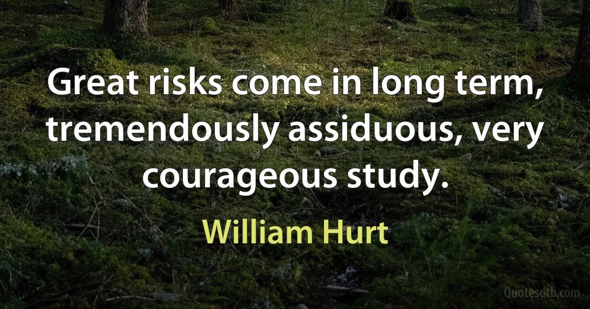 Great risks come in long term, tremendously assiduous, very courageous study. (William Hurt)