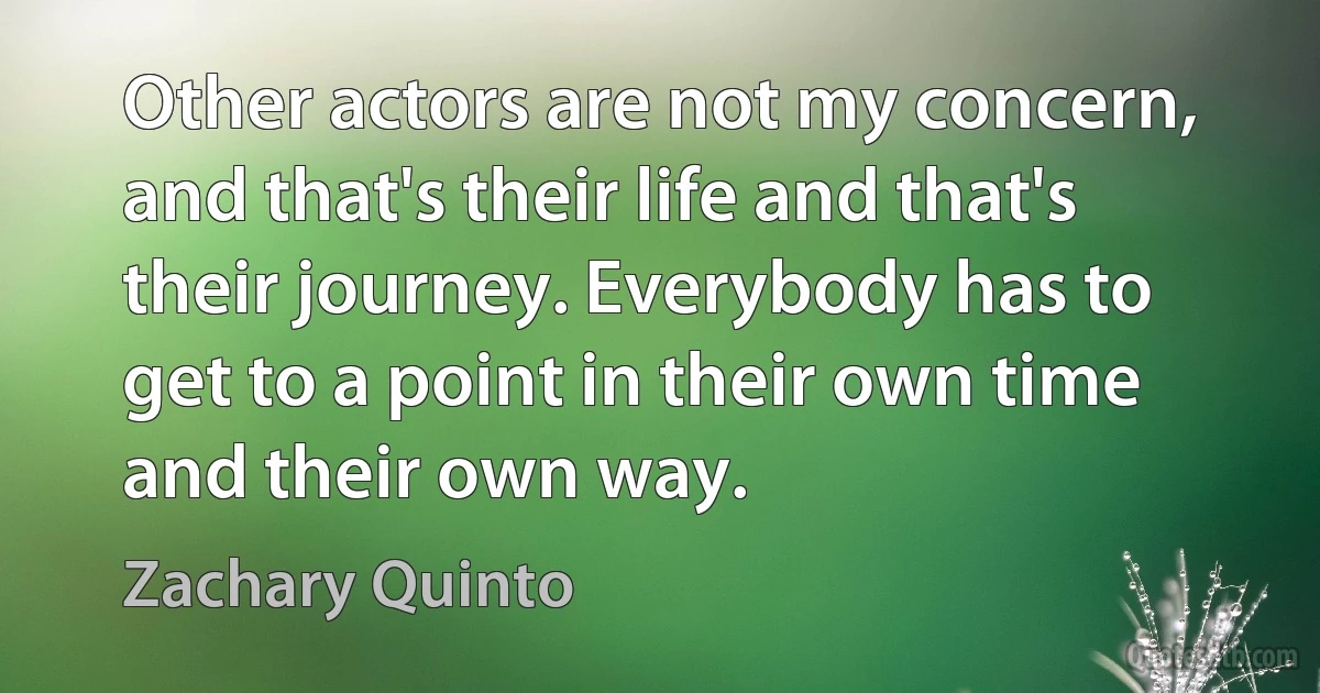 Other actors are not my concern, and that's their life and that's their journey. Everybody has to get to a point in their own time and their own way. (Zachary Quinto)