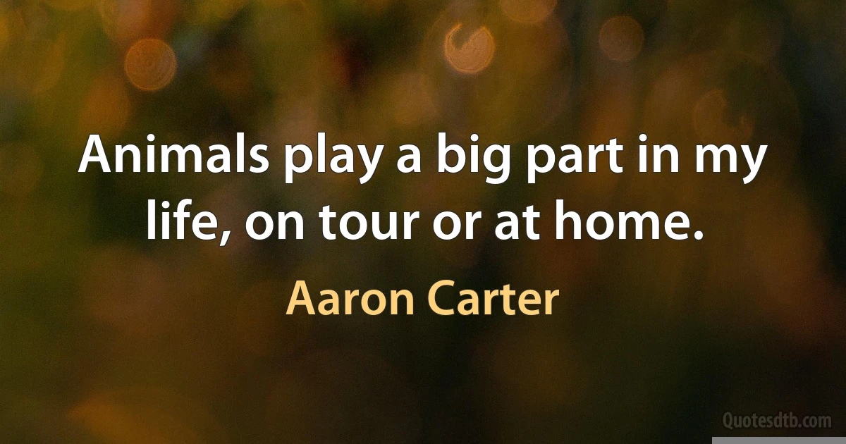 Animals play a big part in my life, on tour or at home. (Aaron Carter)