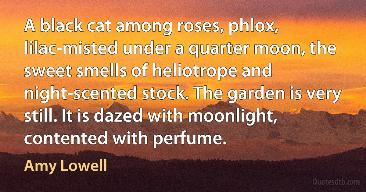 A black cat among roses, phlox, lilac-misted under a quarter moon, the sweet smells of heliotrope and night-scented stock. The garden is very still. It is dazed with moonlight, contented with perfume. (Amy Lowell)