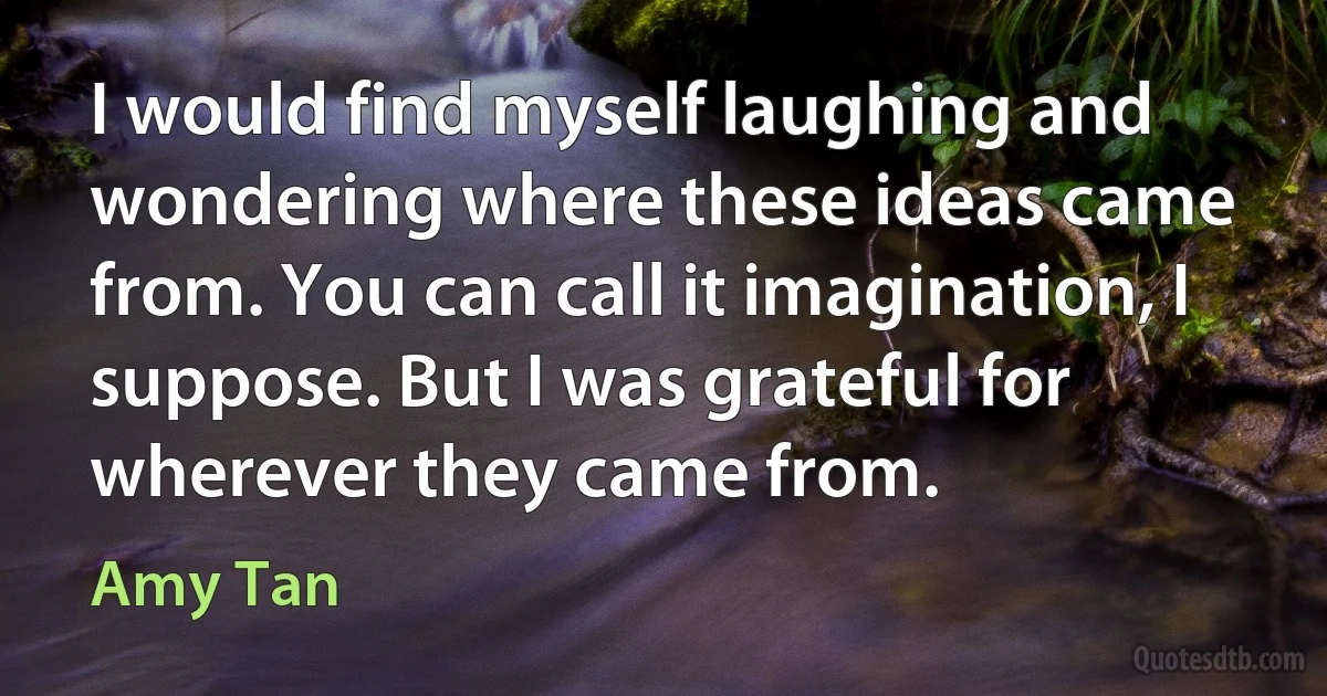 I would find myself laughing and wondering where these ideas came from. You can call it imagination, I suppose. But I was grateful for wherever they came from. (Amy Tan)