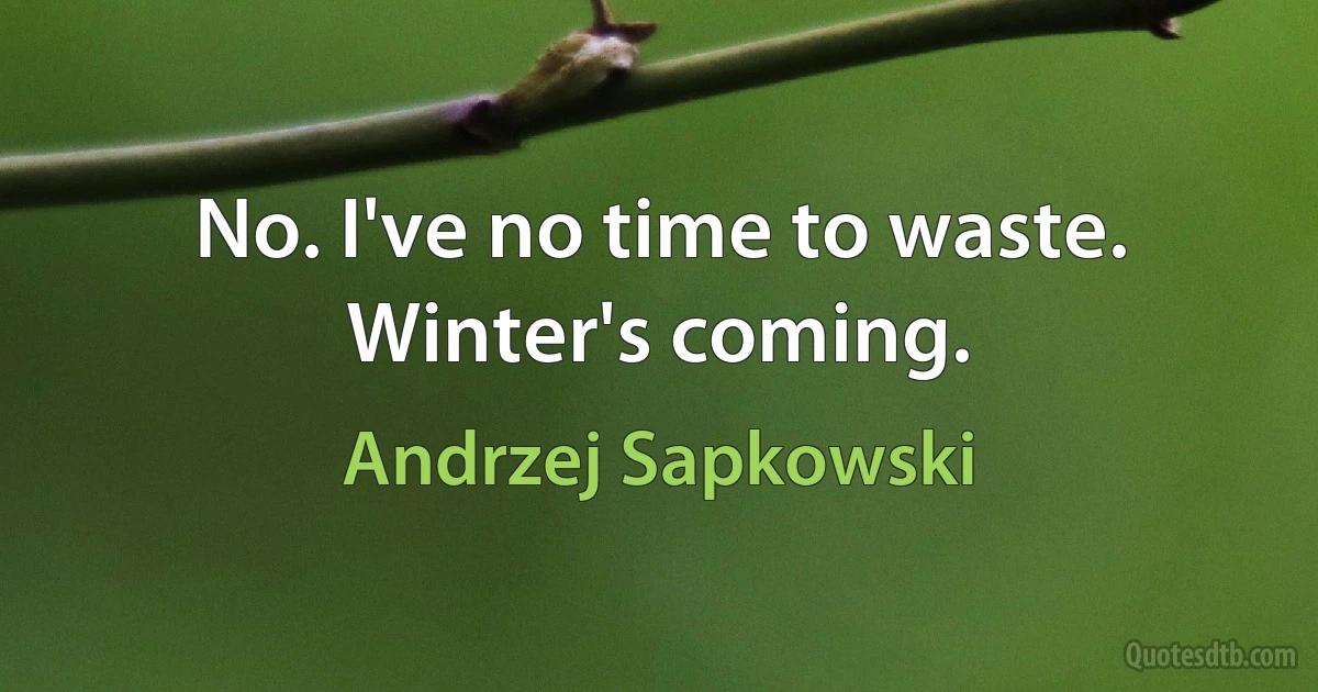 No. I've no time to waste. Winter's coming. (Andrzej Sapkowski)