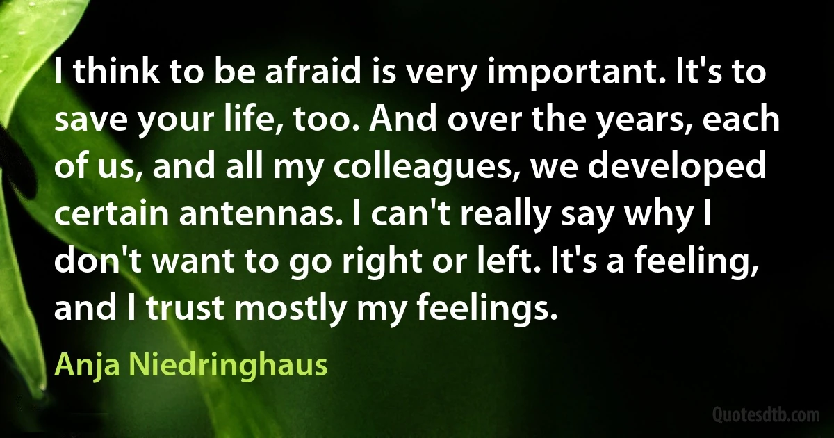 I think to be afraid is very important. It's to save your life, too. And over the years, each of us, and all my colleagues, we developed certain antennas. I can't really say why I don't want to go right or left. It's a feeling, and I trust mostly my feelings. (Anja Niedringhaus)