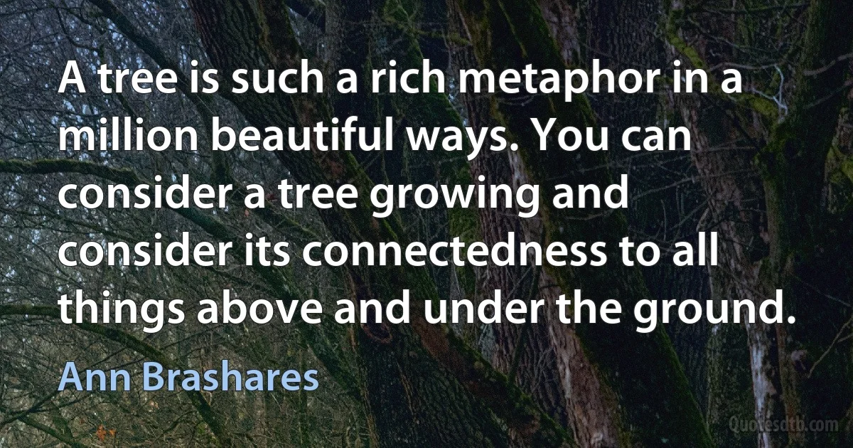 A tree is such a rich metaphor in a million beautiful ways. You can consider a tree growing and consider its connectedness to all things above and under the ground. (Ann Brashares)