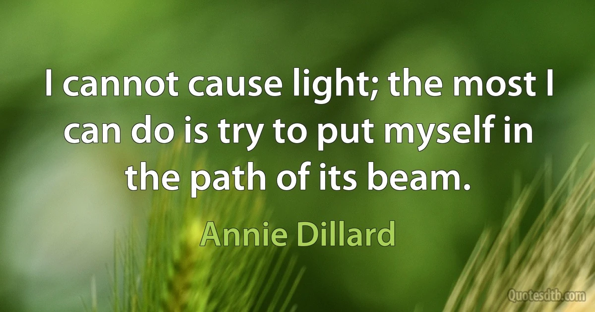 I cannot cause light; the most I can do is try to put myself in the path of its beam. (Annie Dillard)