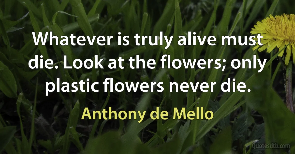 Whatever is truly alive must die. Look at the flowers; only plastic flowers never die. (Anthony de Mello)