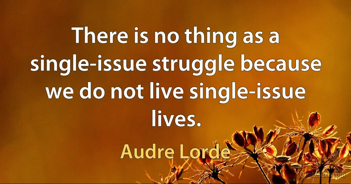 There is no thing as a single-issue struggle because we do not live single-issue lives. (Audre Lorde)