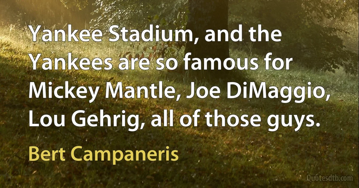 Yankee Stadium, and the Yankees are so famous for Mickey Mantle, Joe DiMaggio, Lou Gehrig, all of those guys. (Bert Campaneris)